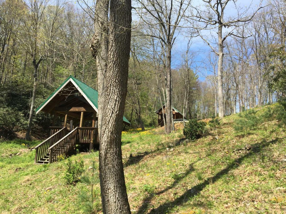 Little River Cabin Sparta Dış mekan fotoğraf